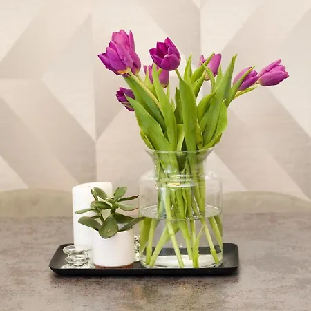 Luxury Near The 公寓 *