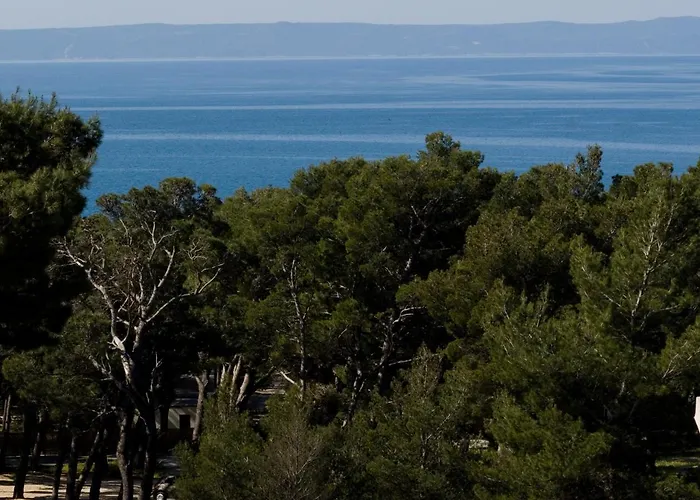 Luxury Near The Apartament