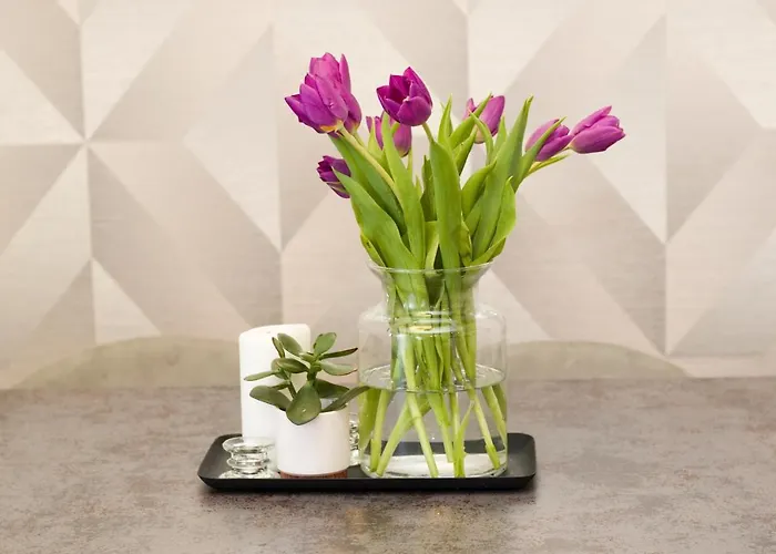 Luxury Near The Daire *